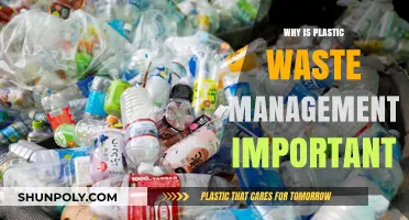 Plastic Waste Management: Our Future Depends on It