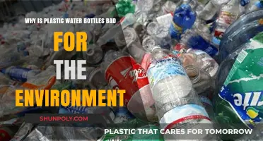 Plastic Water Bottles: Harmful Environmental Impact and Sustainable Alternatives