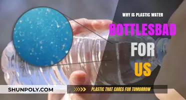 Plastic Water Bottles: Harmful to Health and Environment