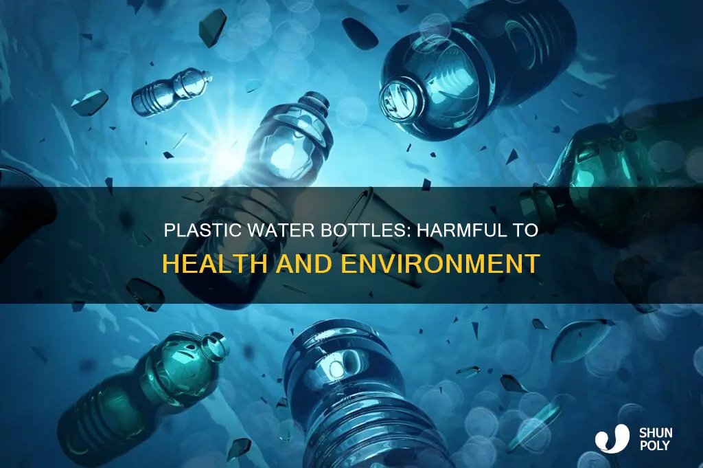 why is plastic water bottlesbad for us