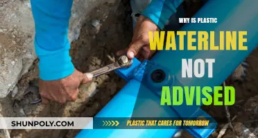 Plastic Waterlines: Health and Environmental Hazards