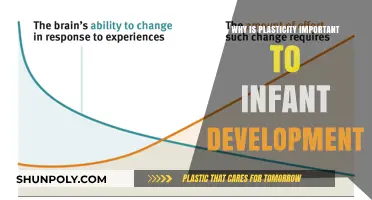 Brain Plasticity: Shaping Infant Development