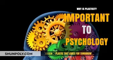 Plasticity: Psychology's Key to Understanding Brain Adaptability