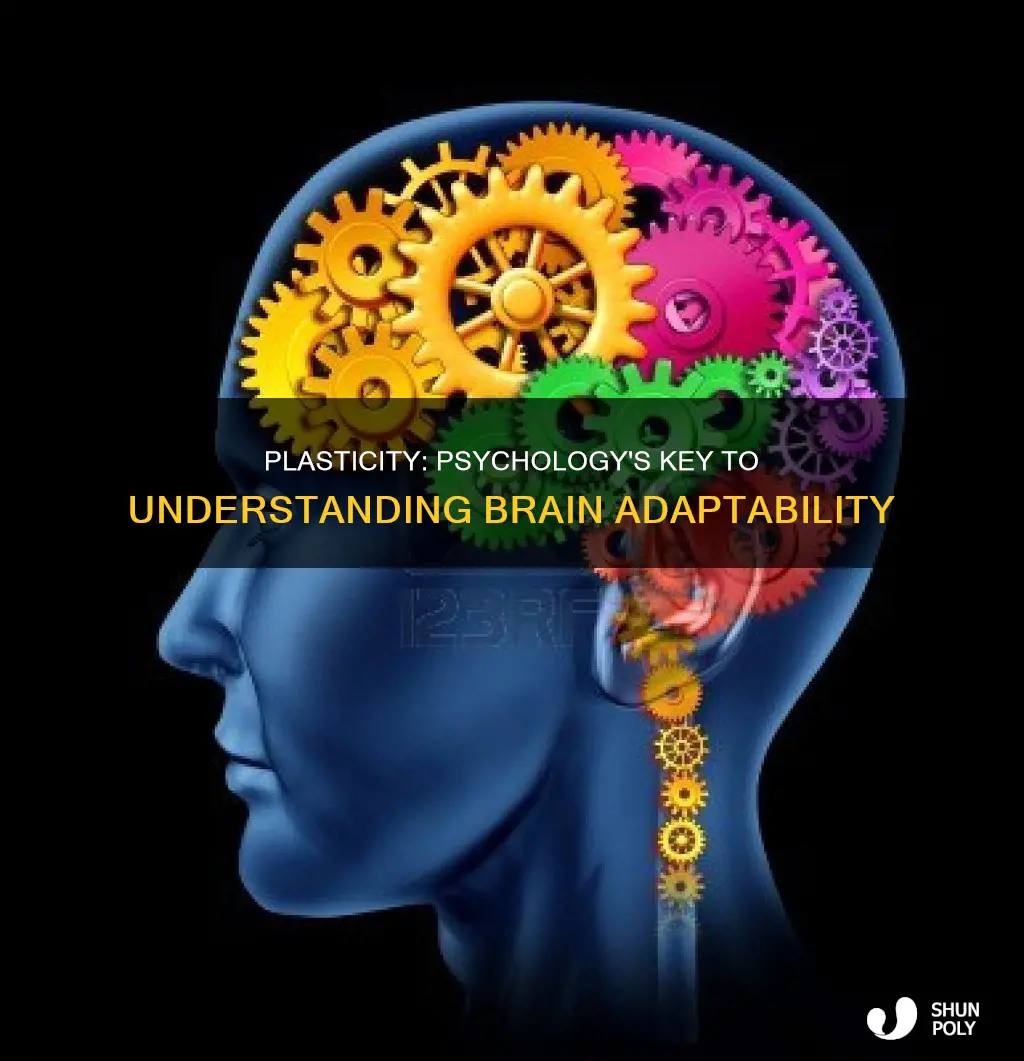 why is plasticity important to psychology