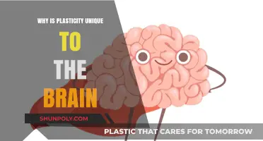 Brain Plasticity: A Unique and Powerful Trait