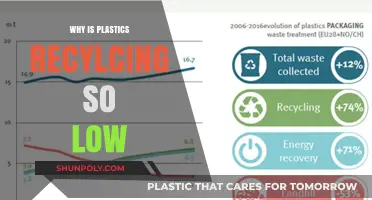 The Plastic Recycling Crisis: Why So Little Action?