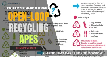 How Recycling Plastic Helps the Environment