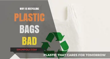 Recycling Plastic Bags: Uncovering the Hidden Environmental Pitfalls