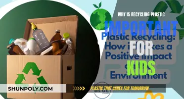 Plastic Recycling: A Kid's Guide to Saving Our Planet