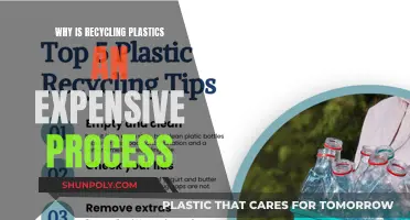 The High Cost of Recycling Plastics: Why So Expensive?