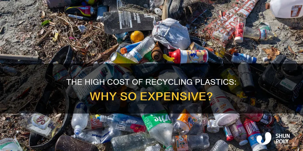 why is recycling plastics an expensive process