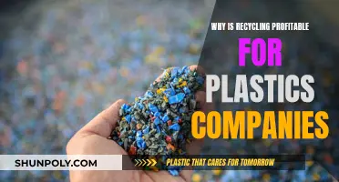 Recycling Plastics: Profits from a Circular Economy