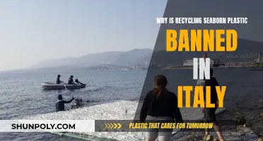 Italy Bans Seaborn Plastic Recycling: Why?