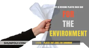 Reusing Plastic Bags: Hidden Environmental Costs and Sustainable Alternatives