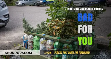 Reusing Plastic Bottles: Hidden Health Risks and Environmental Concerns