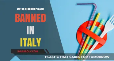 Seaborn Plastic: Italy's Ban and the Reason Behind It