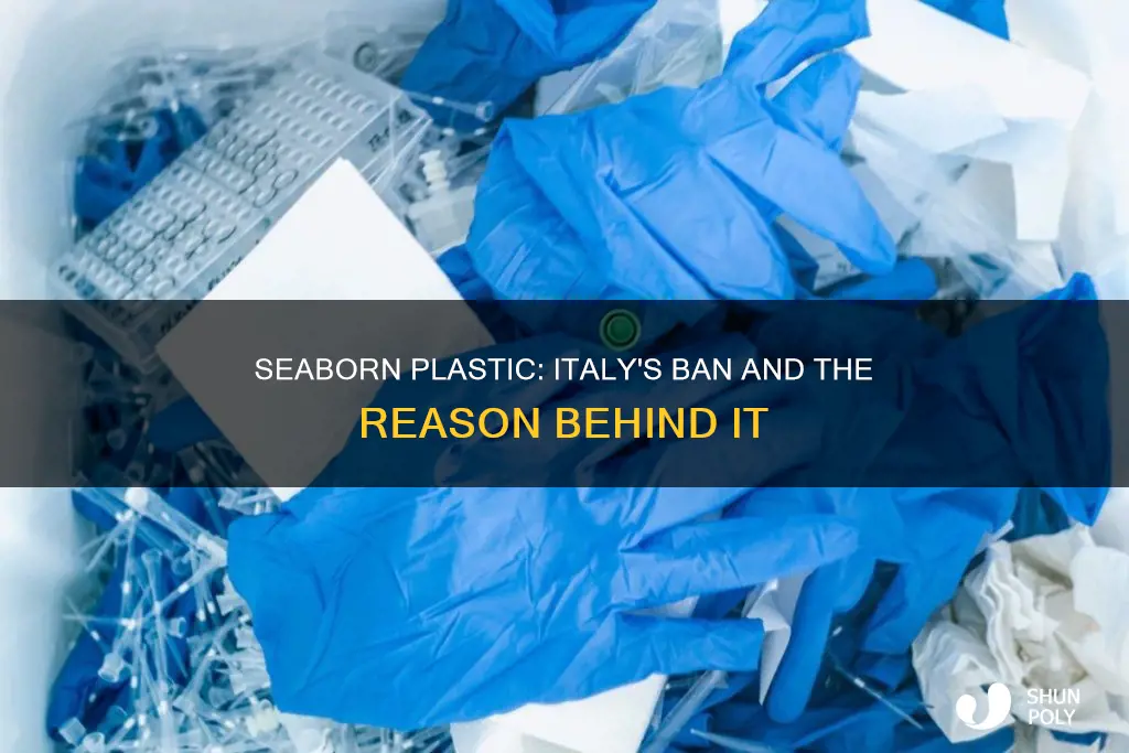why is seaborn plastic banned in italy