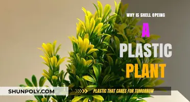 Shell's Plastic Pivot: New Plant, New Direction