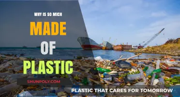 The Ubiquitous Plastic Problem: Why It Dominates Our World
