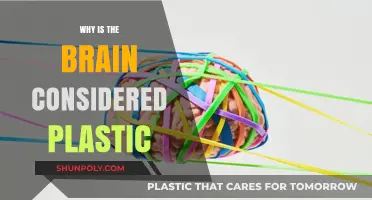 The Brain's Amazing Plasticity: A Transformative Power