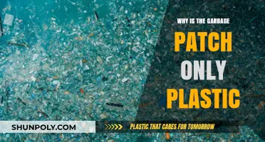 The Great Pacific Garbage Patch: A Plastic Nightmare