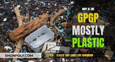 The Great Pacific Gyre's Plastic Predicament