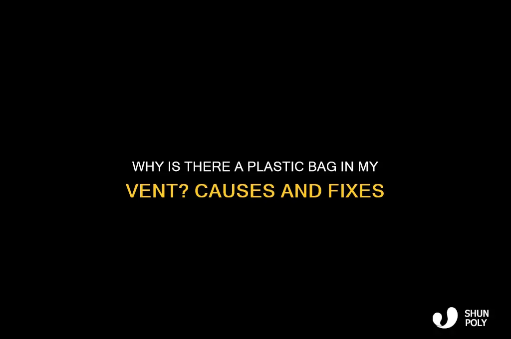 why is there a plastic bag in my vent