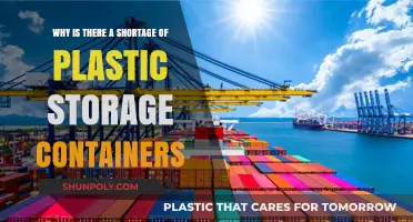 Plastic Storage Containers: Where Have They All Gone?