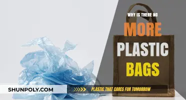 The Disappearance of Plastic Bags: Environmental Shift and Sustainable Alternatives