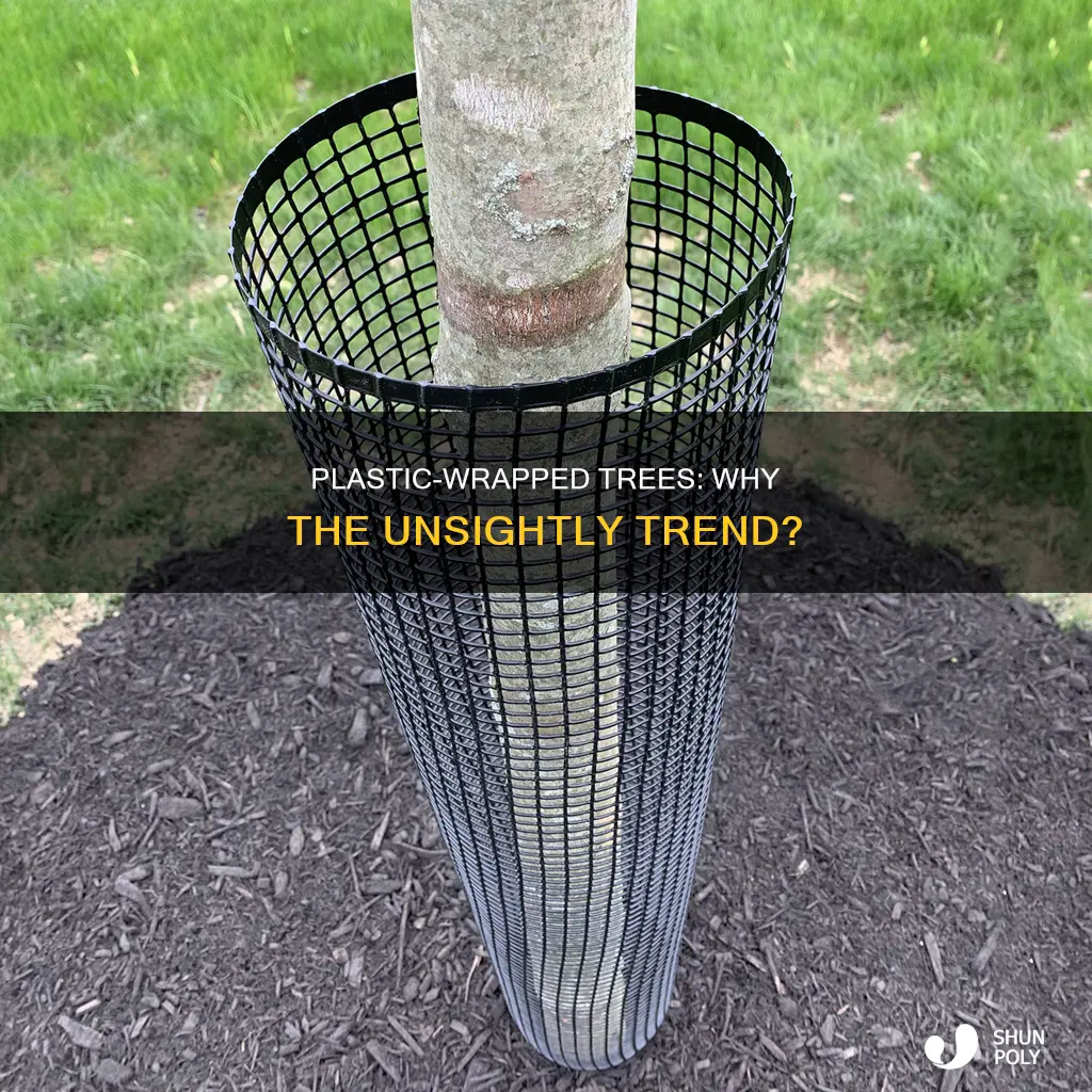 why is there plastic around trees