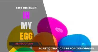 Plastic in Eggs: What's Going On?