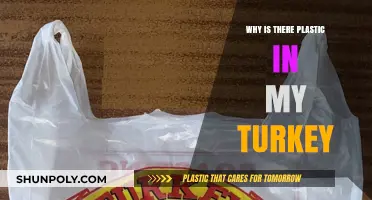 Plastic-Filled Turkeys: A Festive Health Hazard