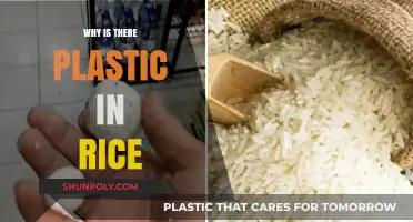 Plastic in Rice: Understanding the Contamination Crisis