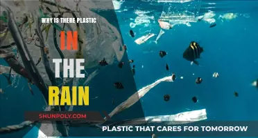 Plastic Rain: Understanding the Impact of Microplastics
