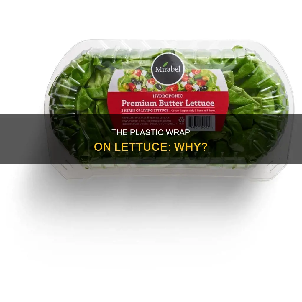 why is there plastic on lettuce
