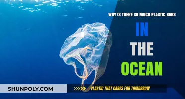 Ocean's Plastic Plague: Unraveling the Crisis of Floating Bag Waste