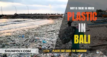 Plastic Pollution in Bali: Understanding the Devastating Impact