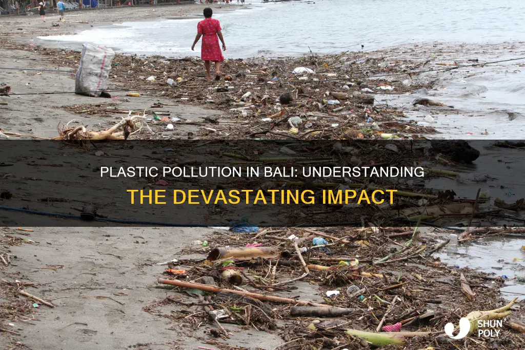 why is there so much plastic in bali