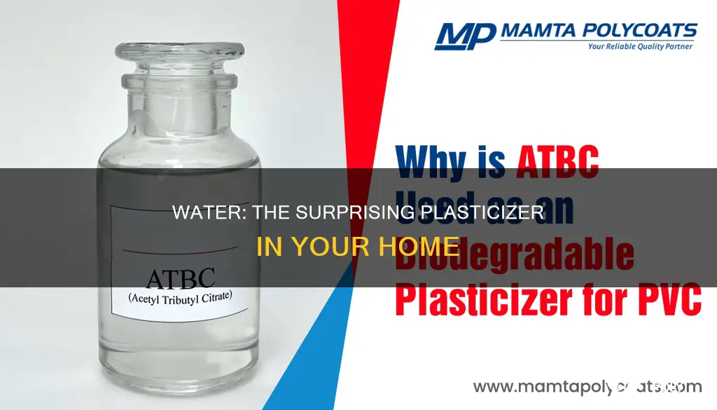 why is water considered a plasticizer