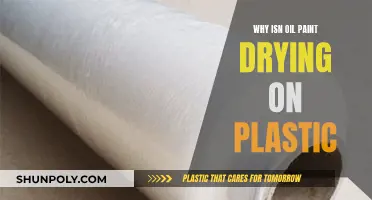 How Oil Paint Behaves on Plastic Surfaces