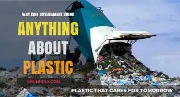 Plastic Pollution: Government Inaction and Its Impact