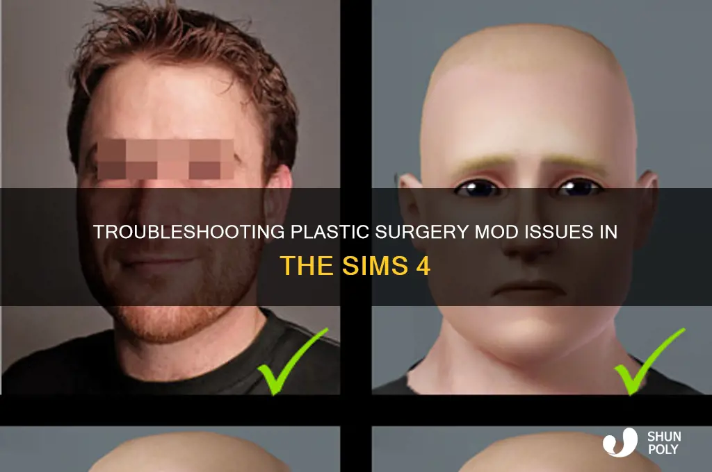why isnt my plastic surgery mod wokring on isms 4