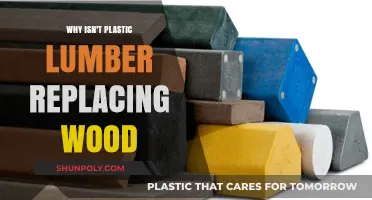 The Future of Plastic Lumber: Why Isn't It Replacing Wood?