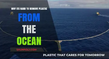 The Ocean's Plastic Crisis: Challenges in Cleaning Our Seas