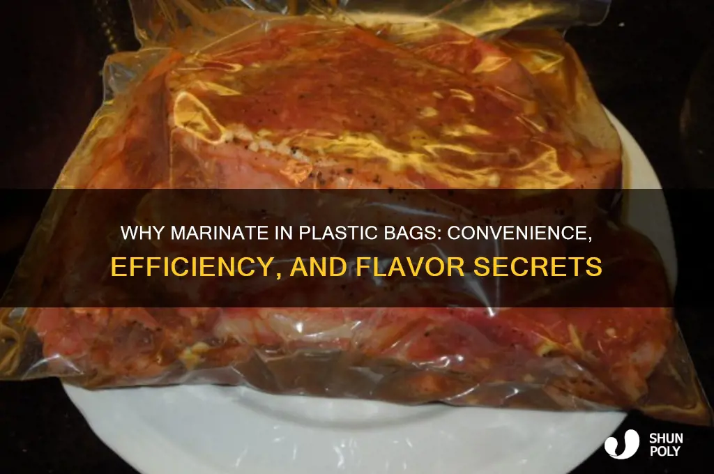 why marinate in plastic bag