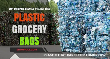 Memphis Recycles Rejects Plastic Bags: Understanding the Policy and Alternatives