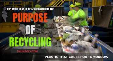Segregating Plastics: The Key to Successful Recycling