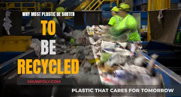 Sorting Plastics: The Key to Successful Recycling