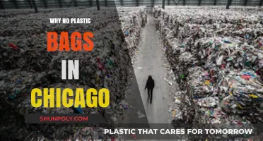 Chicago's Plastic Bag Ban: Environmental Impact and Sustainable Alternatives