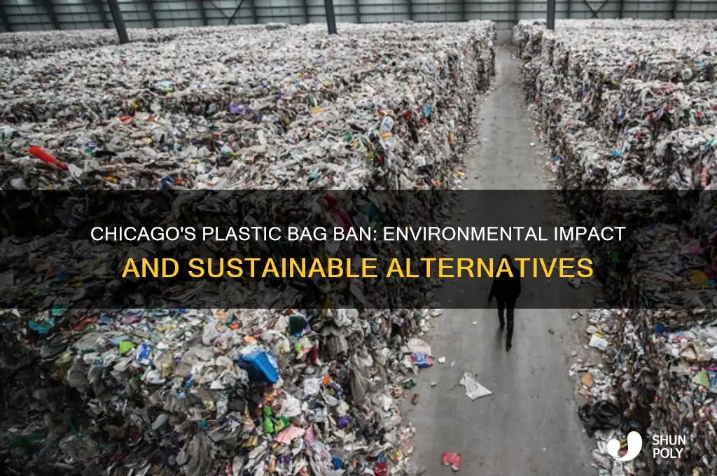 why no plastic bags in chicago